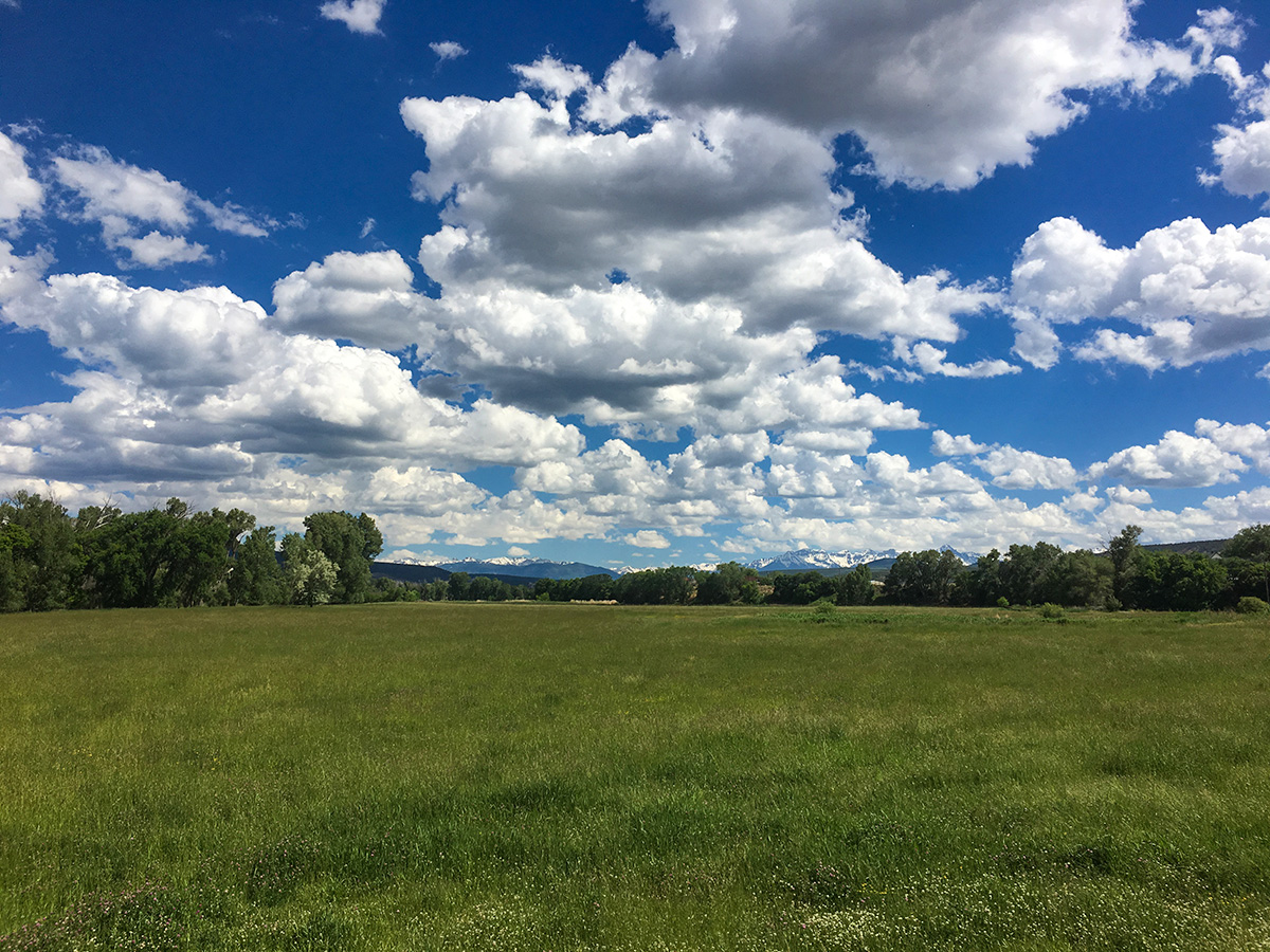 healing begins here at calvary ranch colorado